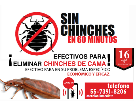 ELIMINAR CHINCHES NEZA