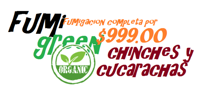 fumigaciones Tecamachalco